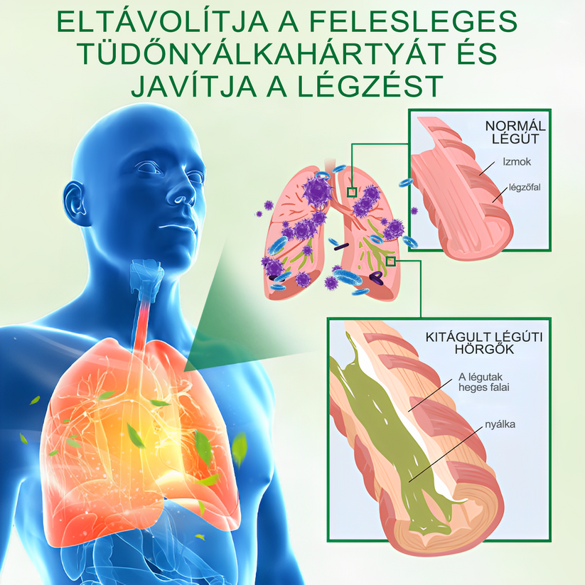 🍀🍀 BSWELL® Fejlett Tüdőtisztító Spray-✅ Támogatja a tüdő, a hörgők és az orrmelléküregek egészségét, hozzájárul a légzőrendszer megfelelő működéséhez, és megkönnyítheti a légzést.
