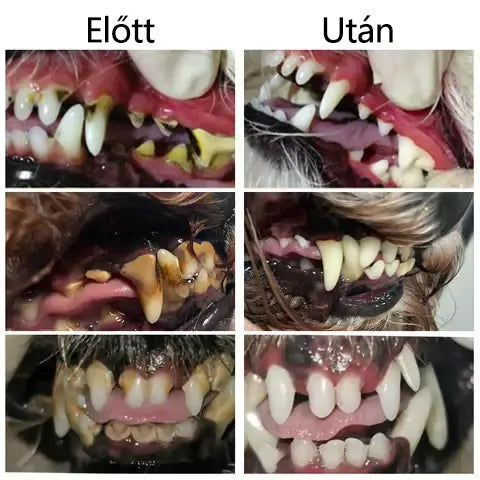 Buzora® Folyadék a fogak és emésztés egészségéért 🐱🐶(kutyáknak és macskáknak)