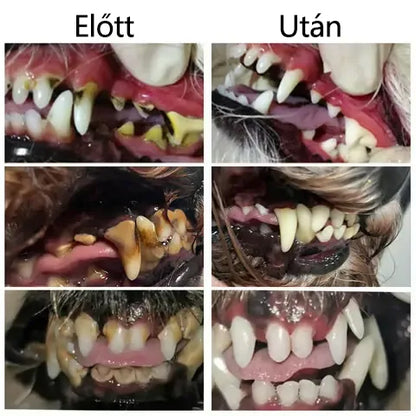 Buzora® Folyadék a fogak és emésztés egészségéért 🐱🐶(kutyáknak és macskáknak)