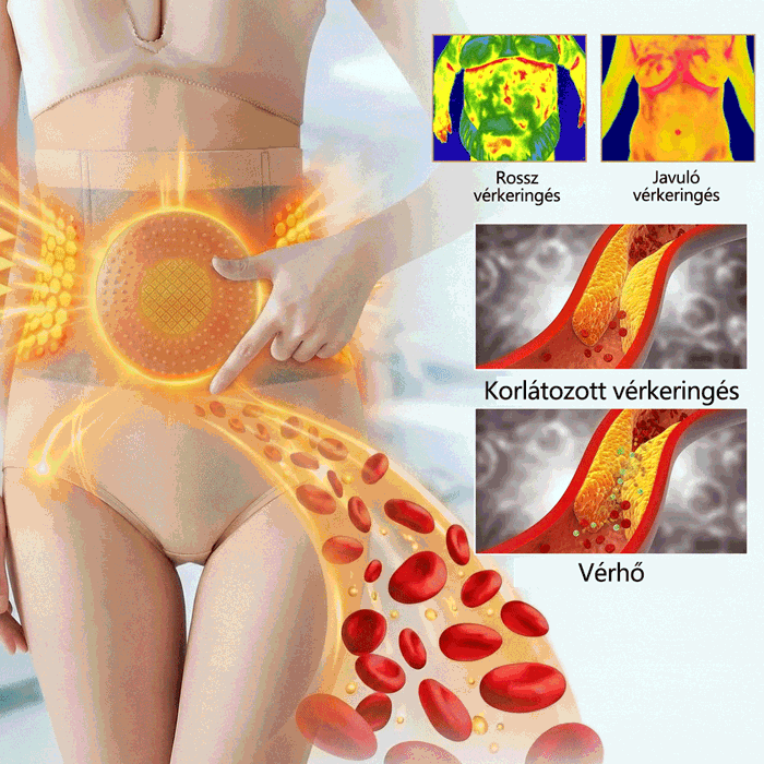 Hivatalos márkabolt | COLTURE® 2026 Moringa & Berberine 4-in-1 mikrorészecskés alakformáló és zsírégető rövidnadrág