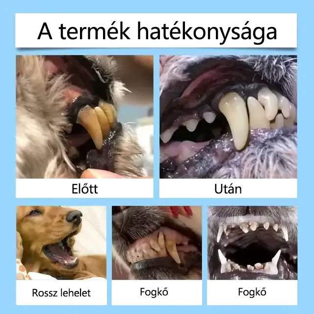 Buzora® Folyadék a fogak és emésztés egészségéért 🐱🐶(kutyáknak és macskáknak)