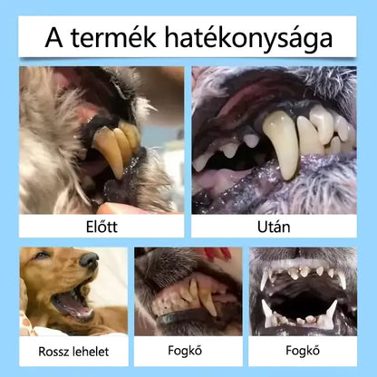 Buzora® Folyadék a fogak és emésztés egészségéért 🐱🐶(kutyáknak és macskáknak)