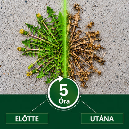 🔥CleraNaure® 5 órás maximális hatóerejű, kettős hatású gyomirtó