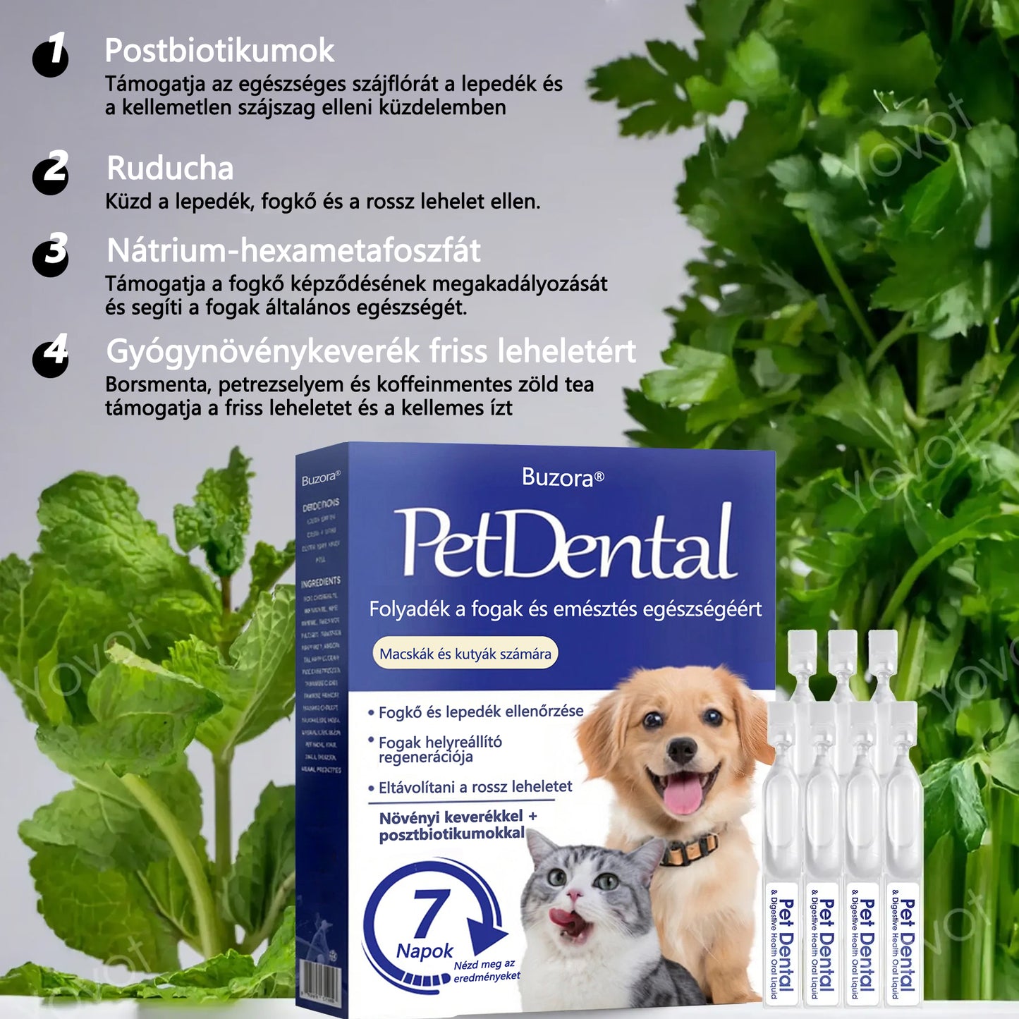 Buzora® Folyadék a fogak és emésztés egészségéért 🐱🐶(kutyáknak és macskáknak)